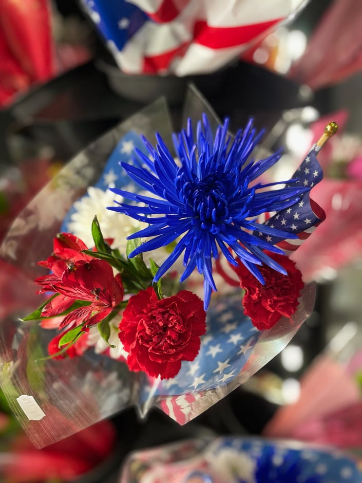 EcoFriendly Alternatives to Paper Lanterns Releases Milano